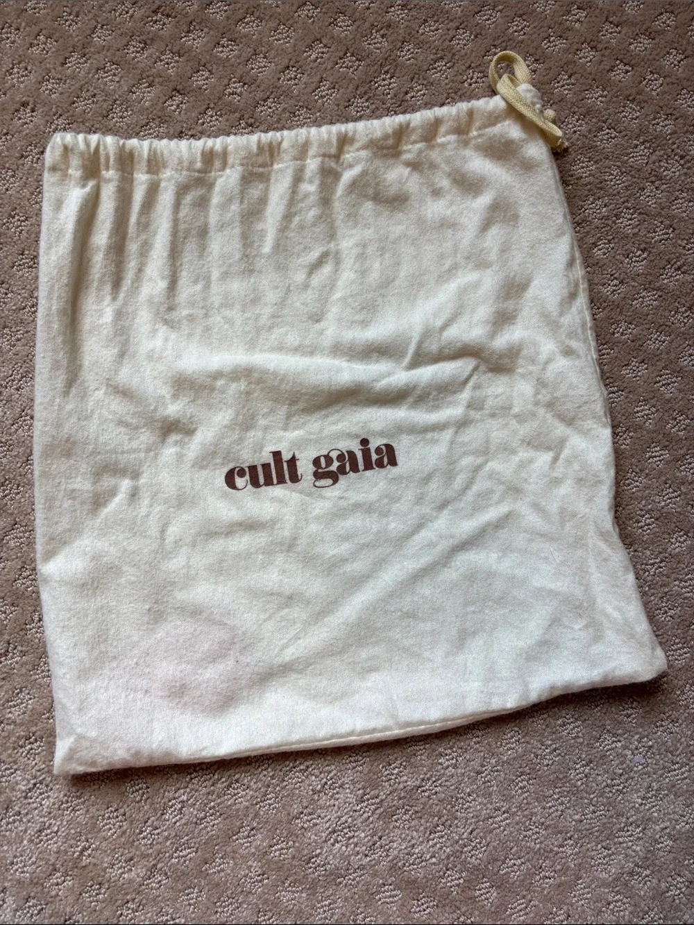 Cult Gaia Enid Clutch in Sea Spray